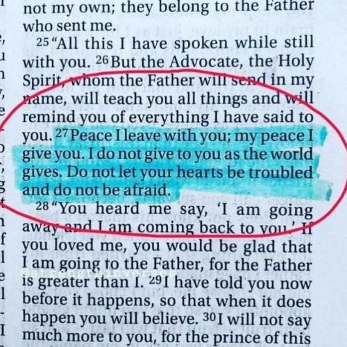 IMG_20260118_160330_285