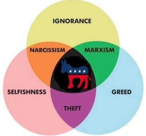 c3522261-cbcc-48d7-973d-27f6ff3a189b