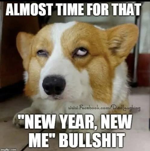 3803e57d4cbd2fdfe10d510e653a5b95