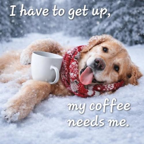 614891605_1418097077103230_8178576067604023856_n