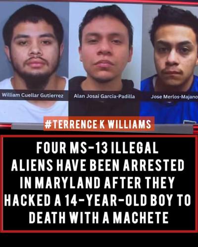 FB_IMG_1769201579568