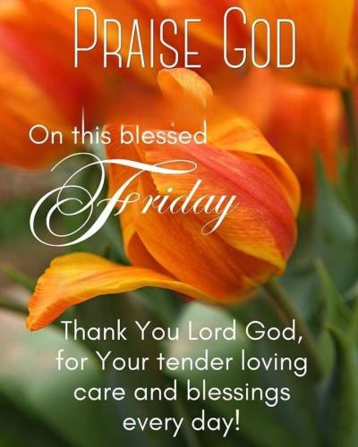 624273271_911413288059685_3876621264716513456_n