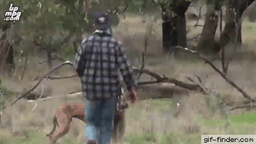 daily_gifdump_5089_04