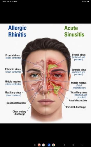 Screenshot_20260106_121643_Facebook