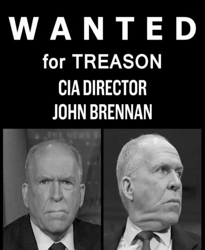 orca-image--354045668