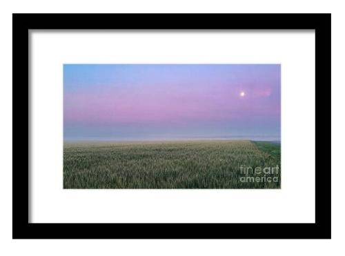 Screenshot_20260119_155919_Brave