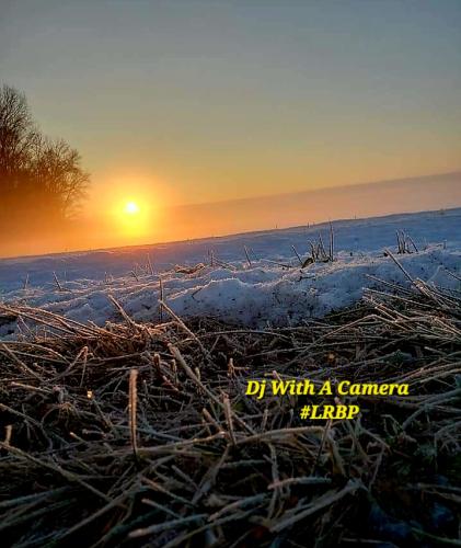 Screenshot_20260130_081756_Gallery