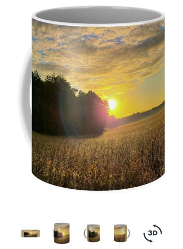 Screenshot_20260110_105956_Brave