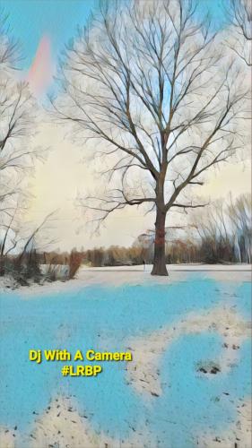 IMG_20260119_111023404_Dallas