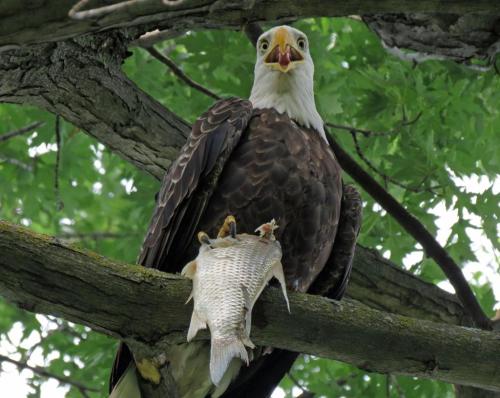 RDT_20260107_0834116736804508588472673