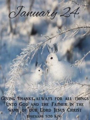 FB_IMG_1769261658017