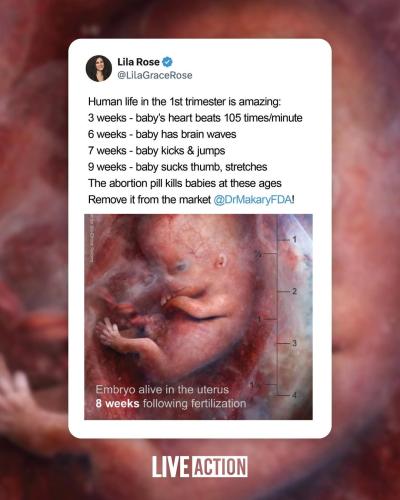 613051441_18554034313051847_3280158297815049253_n