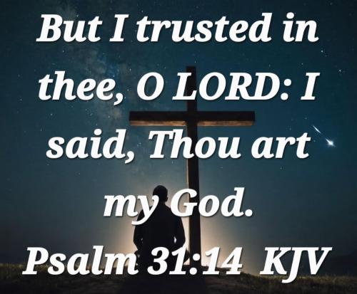 2a136a8d-a63d-4905-a266-963fe394feee