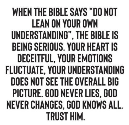 IMG_20260111_150935_065