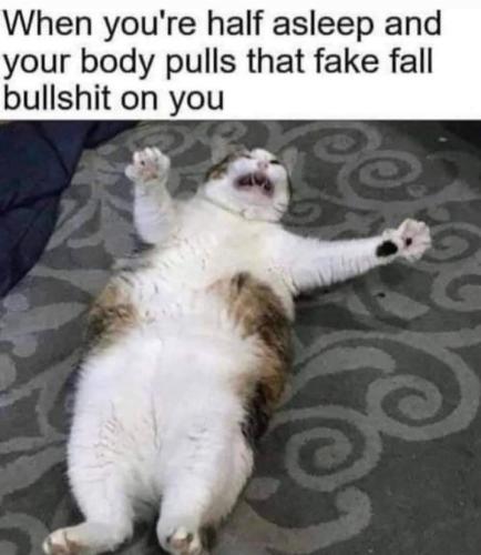 Screenshot_20260102_145300_Gallery