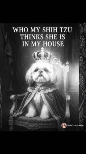 18522a764859650177e3d523799bb237