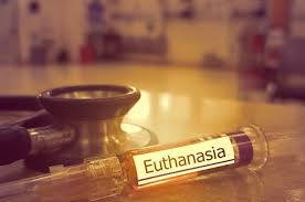 euthanasia III