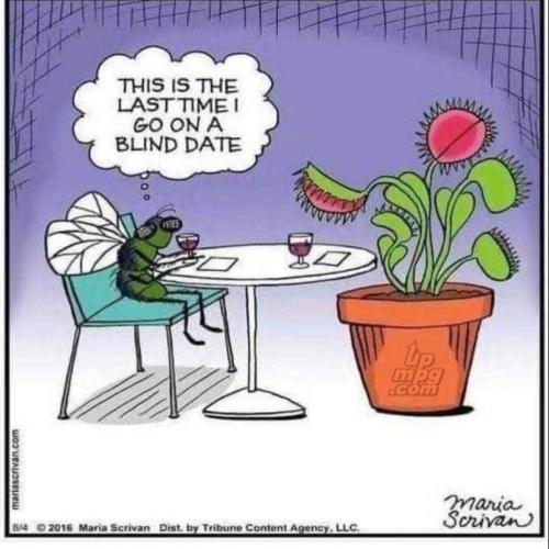 main-qimg-299e75950e208fe1d7fb02313bc76e6a