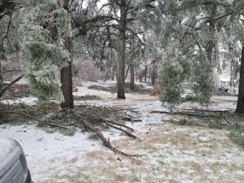 1f93fbbc-8a77-4c88-a2c1-e27a06ff5670