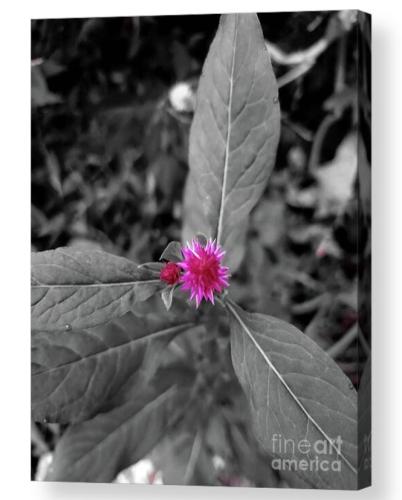 Screenshot_20260128_180703_Brave