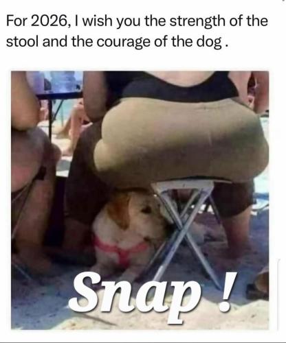 be1a25d4-c5ee-4ec7-aae4-3d8e26b19fe9