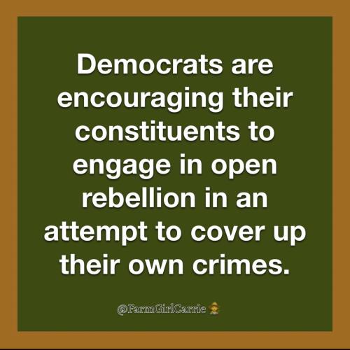 image_C520B0DB-334E-44BF-AEAC-21D32661A369