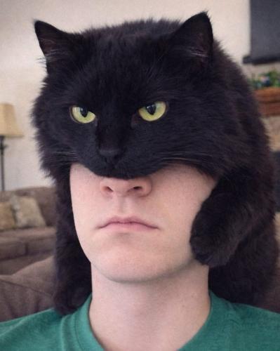 45B132C9-390E-49C8-B314-9C2187A68B8F