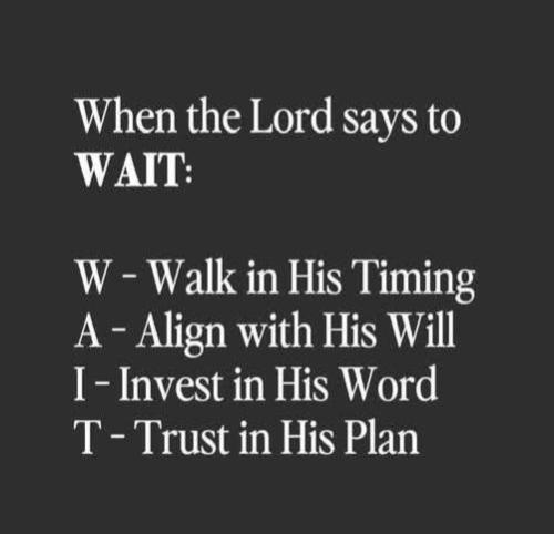 f9767a78-e70b-4a41-87ba-6ae82f75a34f