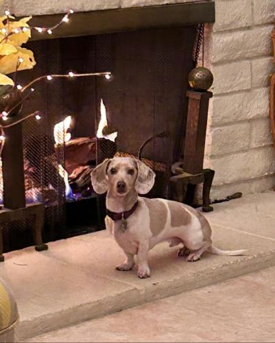 Screenshot_20250906-043728_1