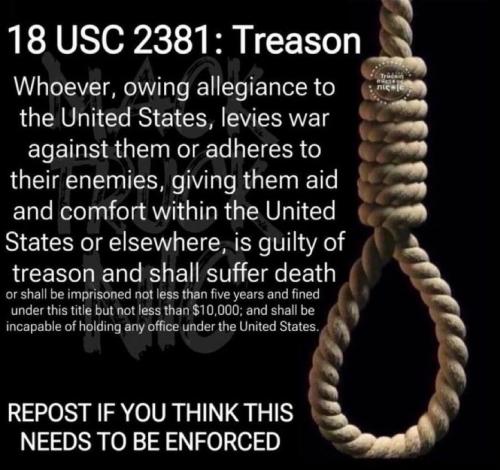 IMG_20260125_175637_132