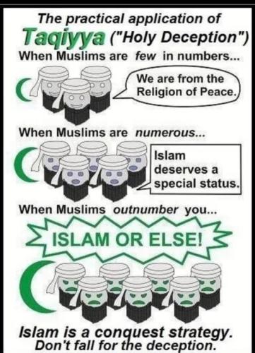 608197613_1898170310811007_6603749425888221878_n