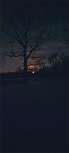 IMG_20260129_090925271_Prairie