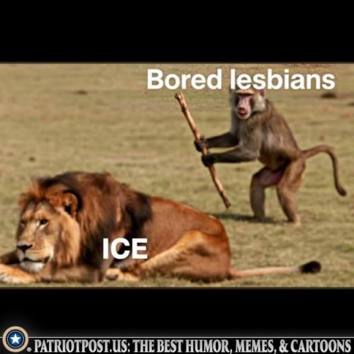 01KFBC3Z3J5524BXHCBDZP6AXX