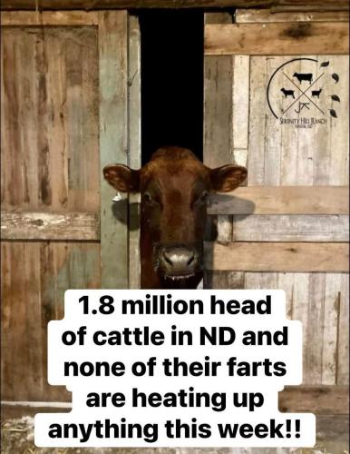 IMG_20260126_114112_873