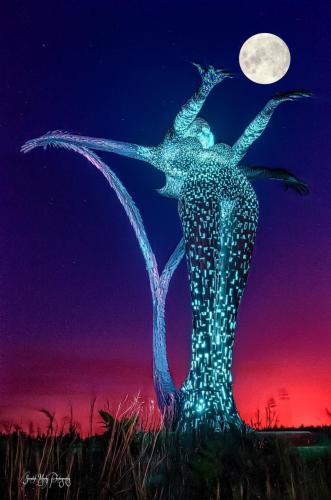 617014138_1555704496054407_1083389093468335159_n