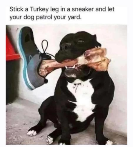 492491127_661062676703560_8605042043930677251_n