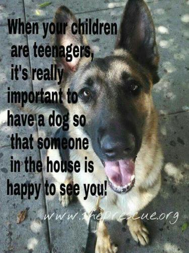 aac2c5ddaf5c083ecbec115af6b834e4