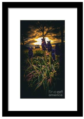 Screenshot_20260121_181147_Brave