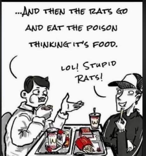 rats-go-eat-poison