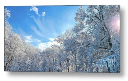 Screenshot_20260117_135117_Brave