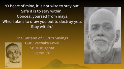 ,          ,  0424775766_746362