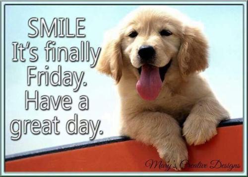 6e2897d6922140fad2ee19845bd24f03