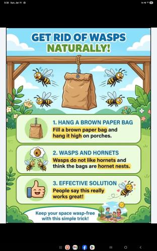 Screenshot_20260111_173251_Facebook