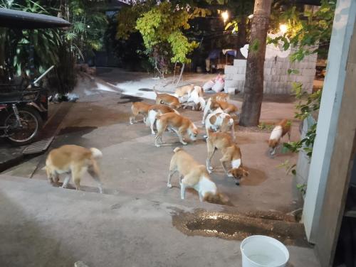 IMG_20260128_181859_777