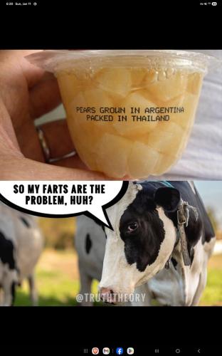 Screenshot_20260111_182040_Facebook