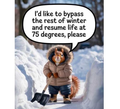 sexUtQGWVZ5SYmF5U5LP_28_a62762fb25138c989ec212851457aae7_image