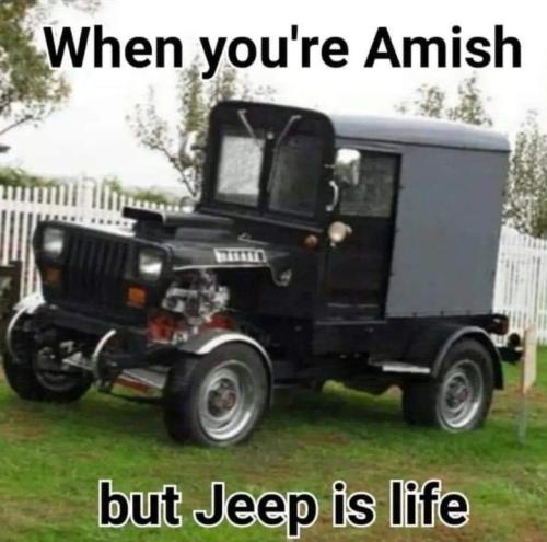 Screenshot_20260119_073324_Gallery