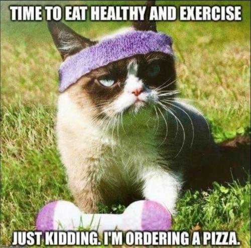 dbcdcf4bcd38519cf4691951594f9f56