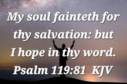 cc4ba986-0559-4e4f-a84b-5ed4d28ff2e1