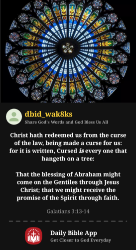 2025-12-311767227097661